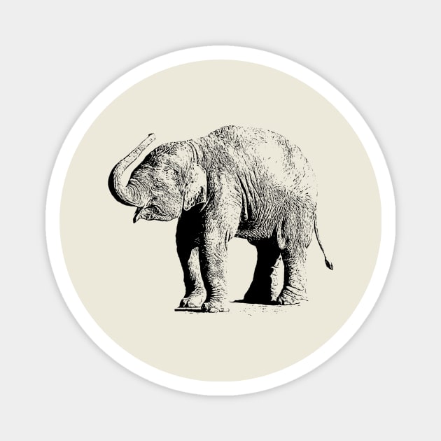 Baby elephant Magnet by Guardi